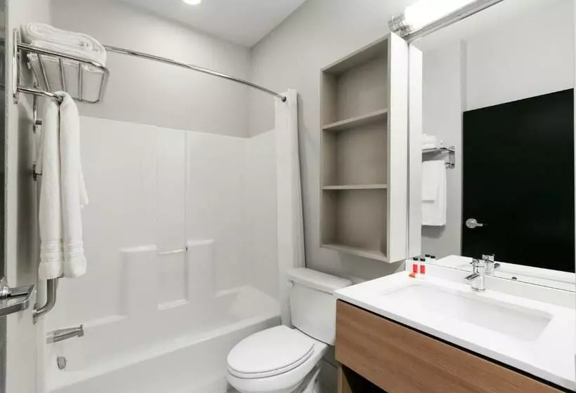 デラックスルーム, Microtel Inn And Suites By Wyndham Monahans
