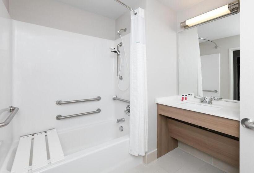 장애인을 위한 스탠다드 룸, Microtel Inn And Suites By Wyndham Monahans