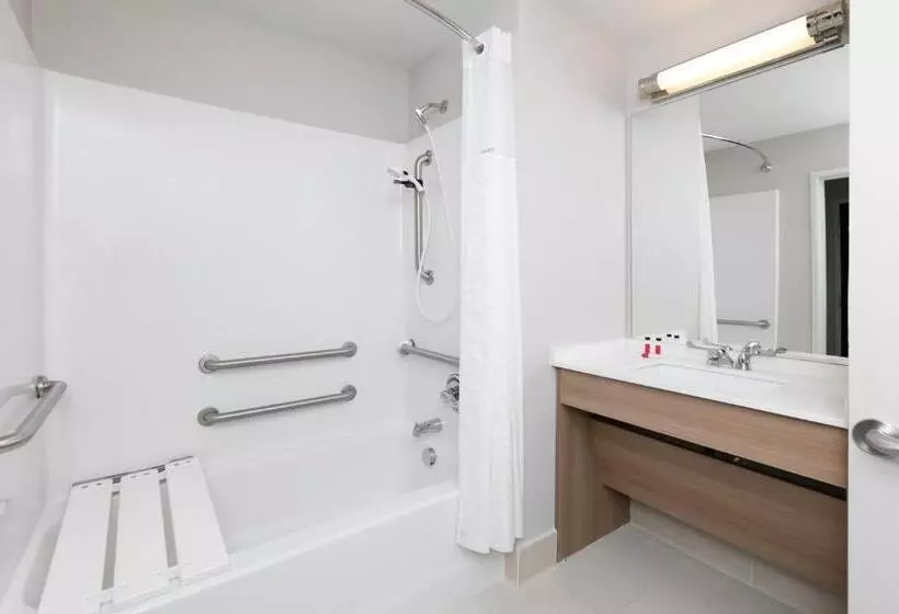 身障者適用スタンダードルーム, Microtel Inn And Suites By Wyndham Monahans