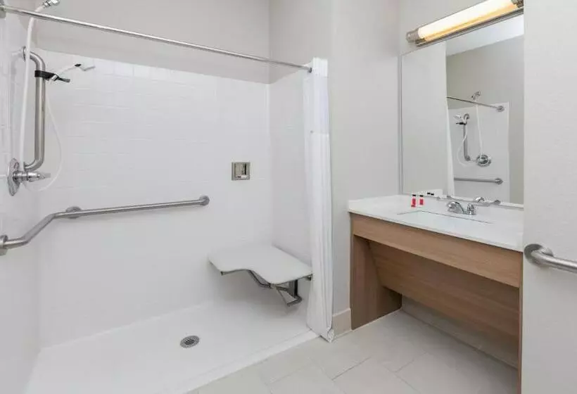 身障者適用スタンダードルーム, Microtel Inn And Suites By Wyndham Monahans