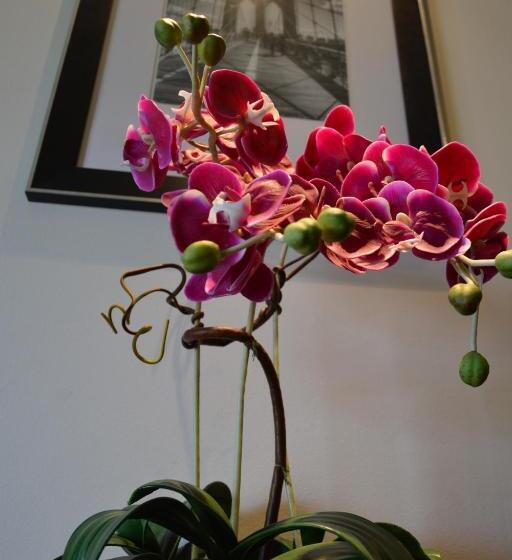 סוויטה אקזקיוטיב, Sir James Resort