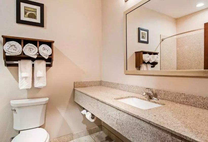Standard-huone, Best Western Plus Denver City Hotel & Suites