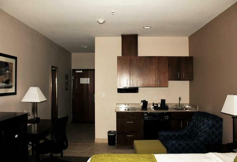 Номер Стандарт с Кухней, Best Western Plus Denver City Hotel & Suites