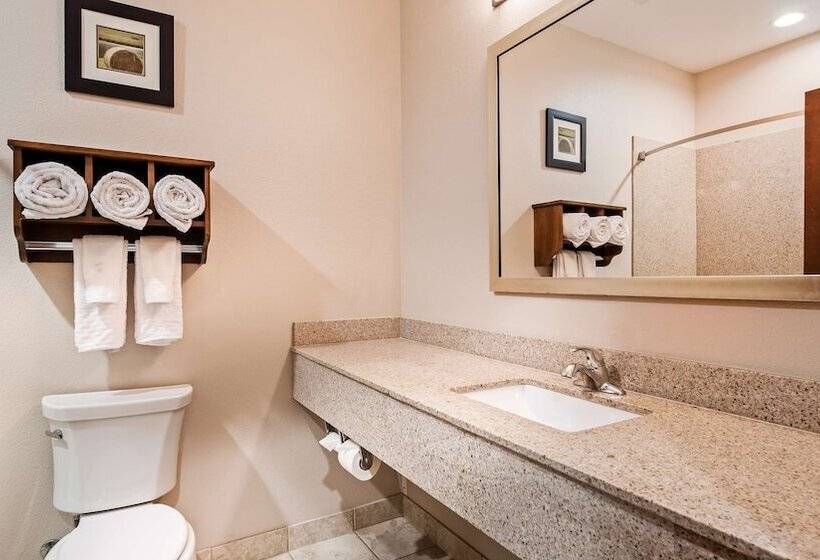 Люкс, Best Western Plus Denver City Hotel & Suites