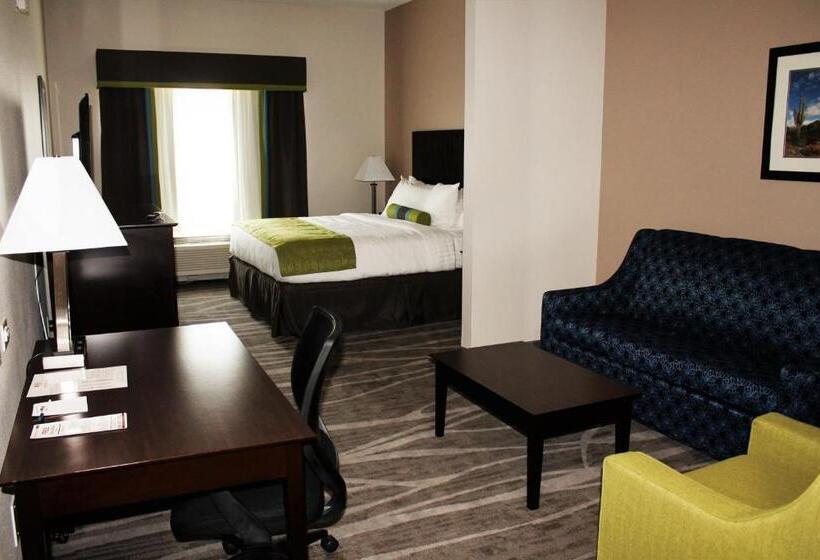 Люкс Адаптированный для Инвалидов, Best Western Plus Denver City Hotel & Suites