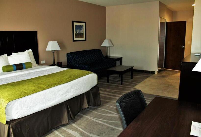 适合残疾人士使用的套间, Best Western Plus Denver City Hotel & Suites