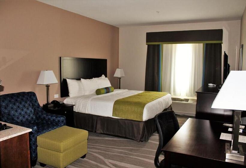 Люкс Кровать Кинг, Best Western Plus Denver City Hotel & Suites