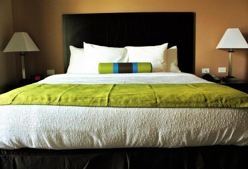 带大床的套房, Best Western Plus Denver City Hotel & Suites