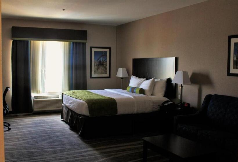 带大床的套房, Best Western Plus Denver City Hotel & Suites