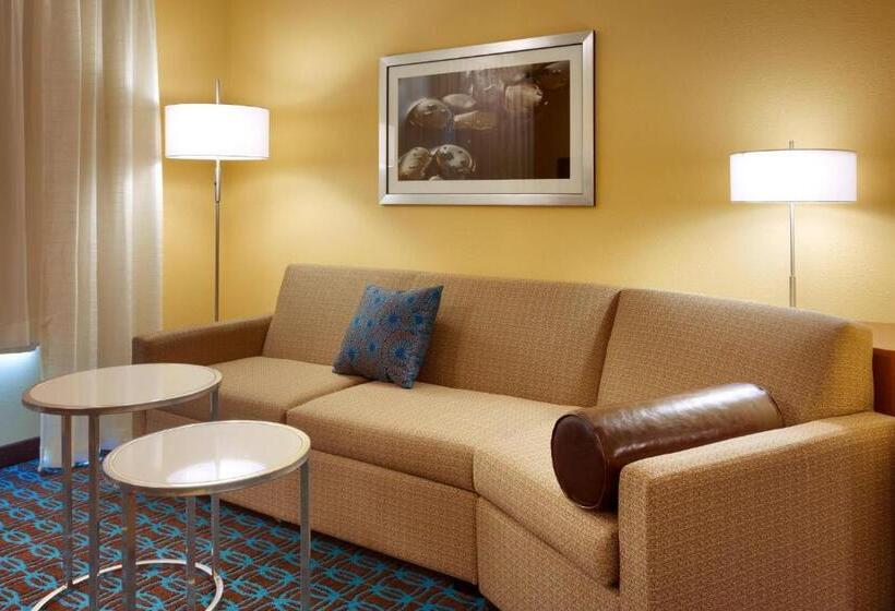 Люкс, Fairfield Inn & Suites By Marriott Salt Lake City Midvale