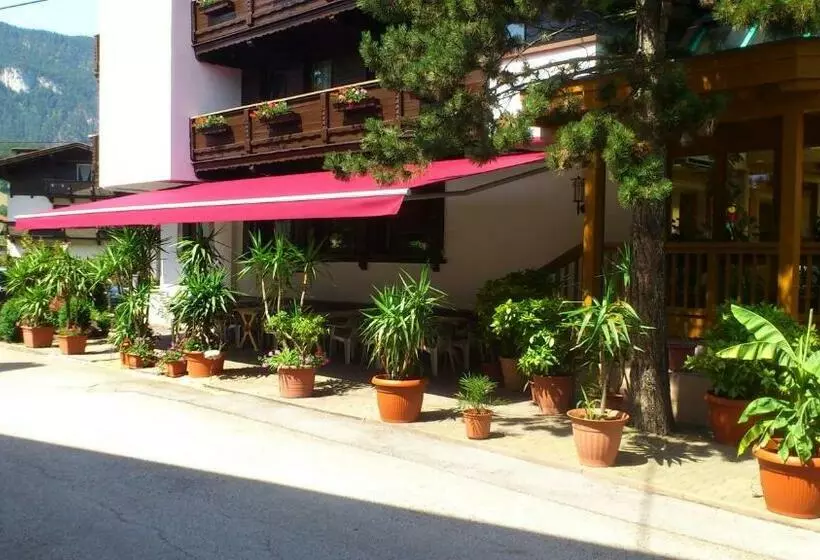 スタンダードシングルルーム, Gasthof Pension Alpenblick
