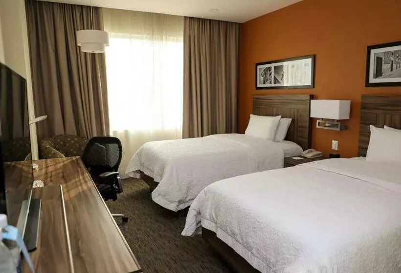 ２ダブルベッドのスタンダードルーム, Hampton Inn By Hilton Irapuato