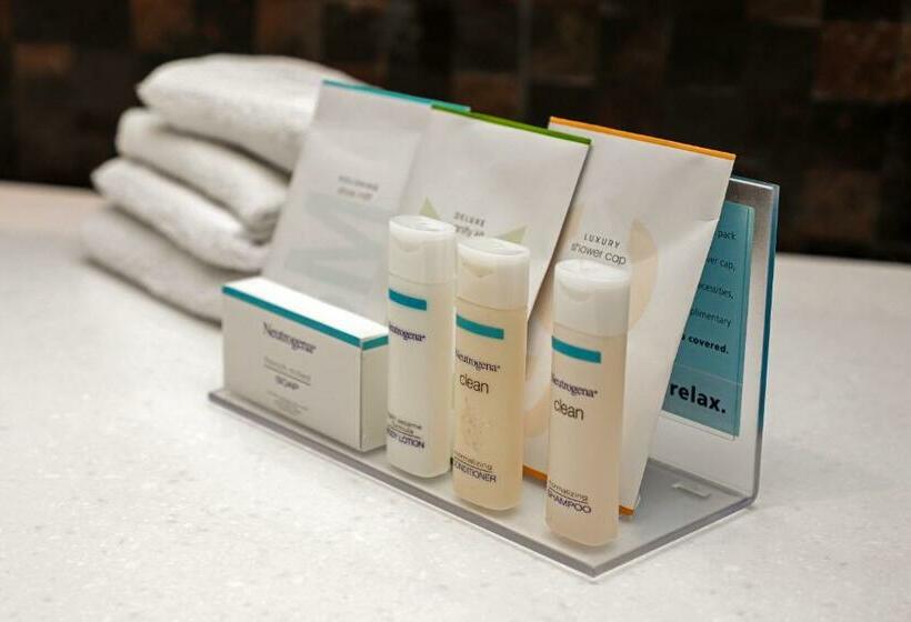 スタンダードルーム, Hampton Inn By Hilton Irapuato