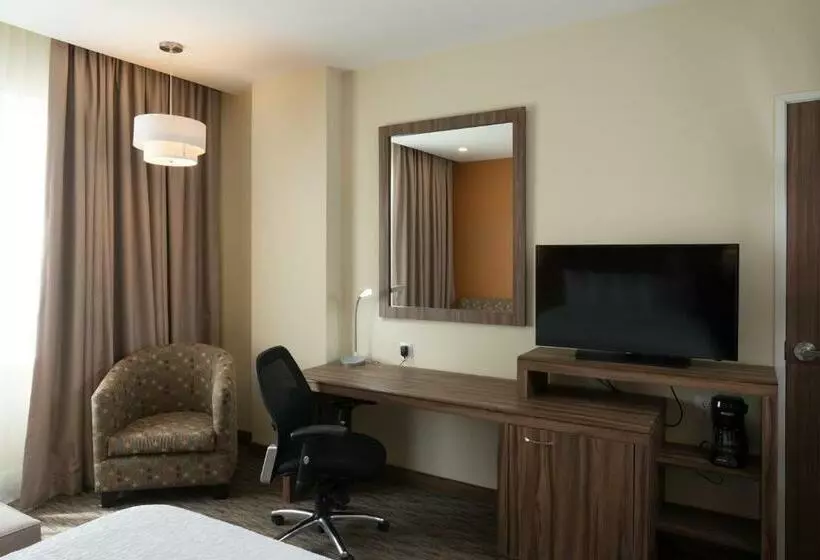 スタンダードルーム, Hampton Inn By Hilton Irapuato