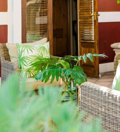 基本间, Roosenwijn Guest House