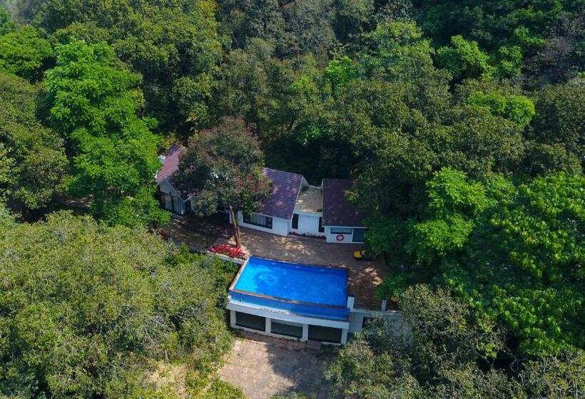 سوئیت پریمیوم, The Ibnii   Eco Luxury Resort