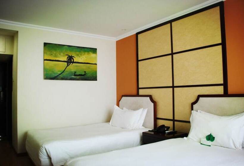 اتاق استاندارد, Bintumani