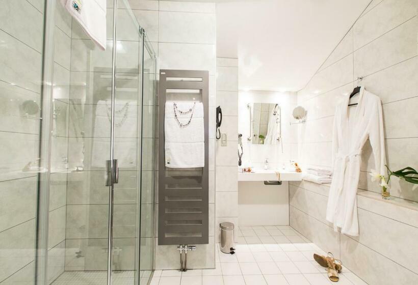 Номер Стандарт, Hôtel Spa Marotte