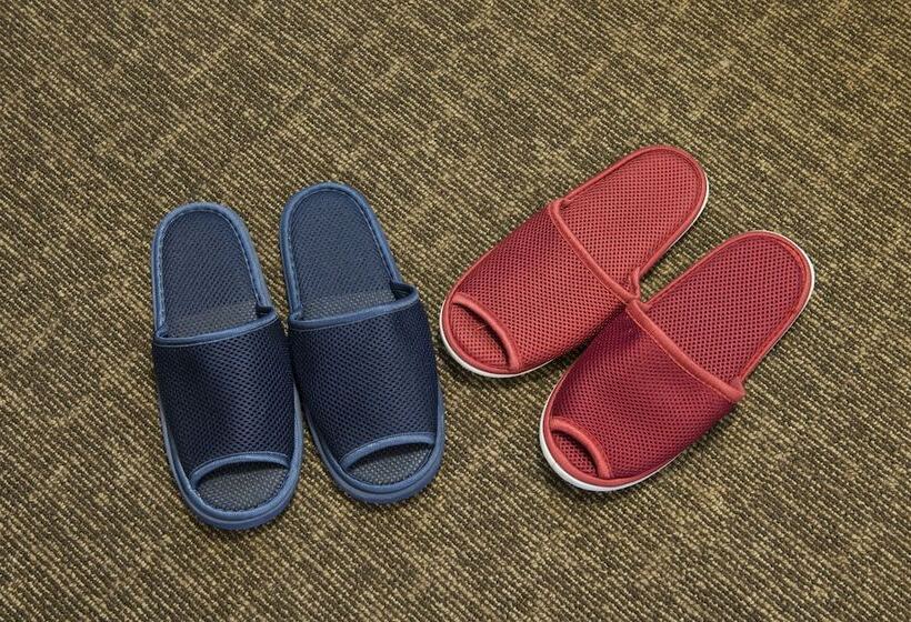 غرفة قياسية فردية, Dormy Inn Express Mikawaanjo