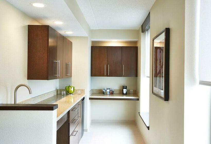 带大床的套房, Hyatt Place Lansing East