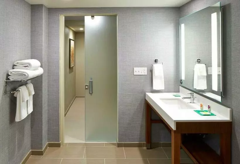キングサイズベッドのスイートルーム, Hyatt Place Lansing East