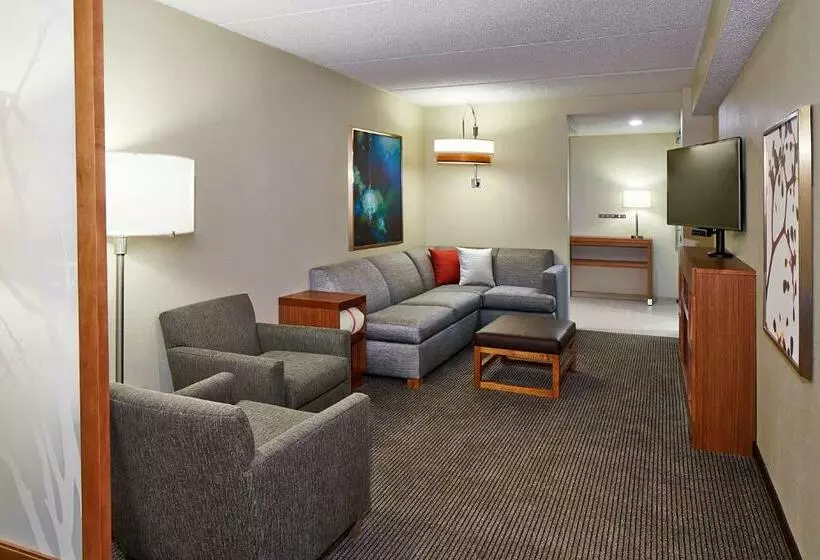キングサイズベッドのスイートルーム, Hyatt Place Lansing East