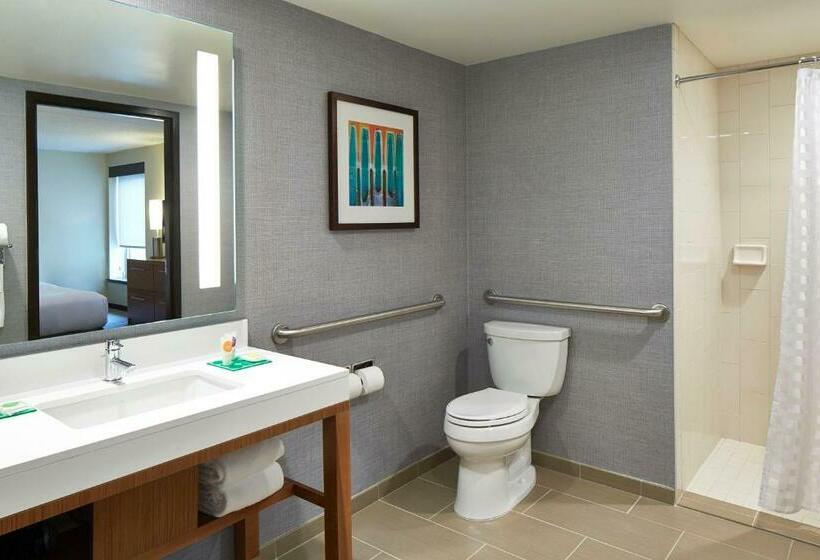 带大床的套房, Hyatt Place Lansing East