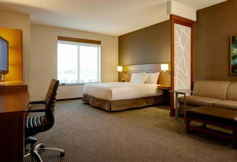 キングサイズベッドのスタンダードルーム, Hyatt Place Lansing East