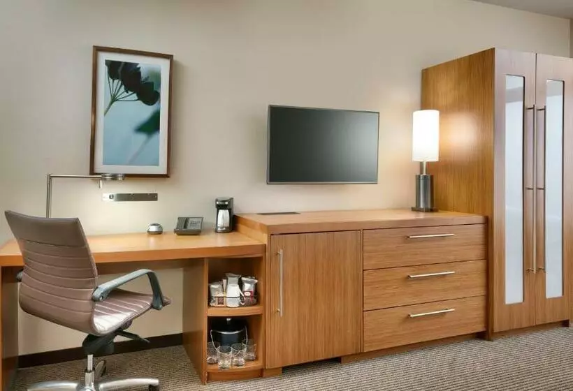 キングサイズベッドのスタンダードルーム, Hyatt Place Lansing East