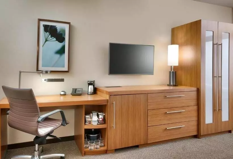 身障者適用スタンダードルーム, Hyatt Place Lansing East
