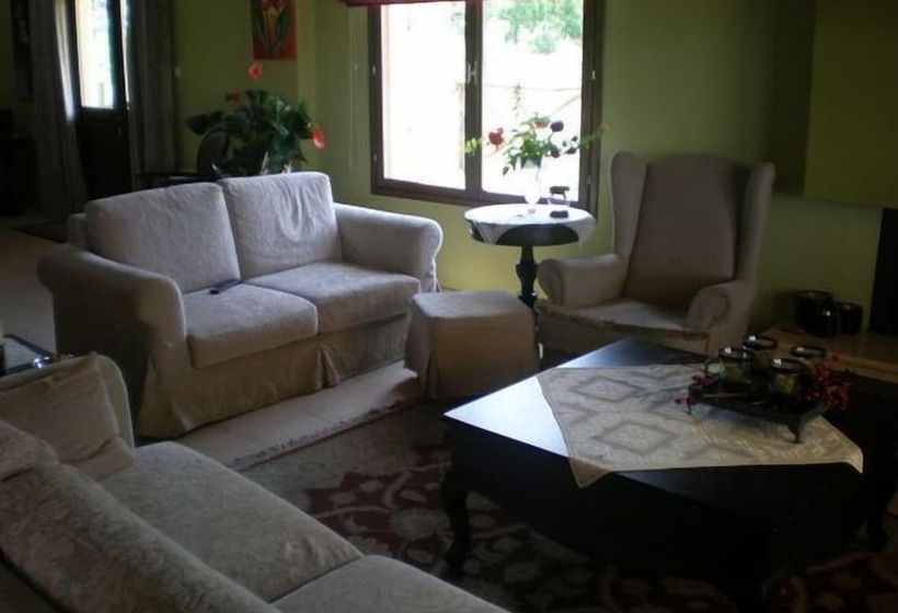 标准单人间, Olympia Guesthouse