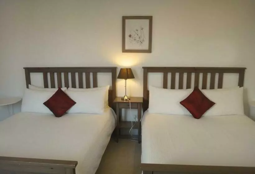 اتاق استاندارد, Rumah Putih Near Klia & Xiamen University