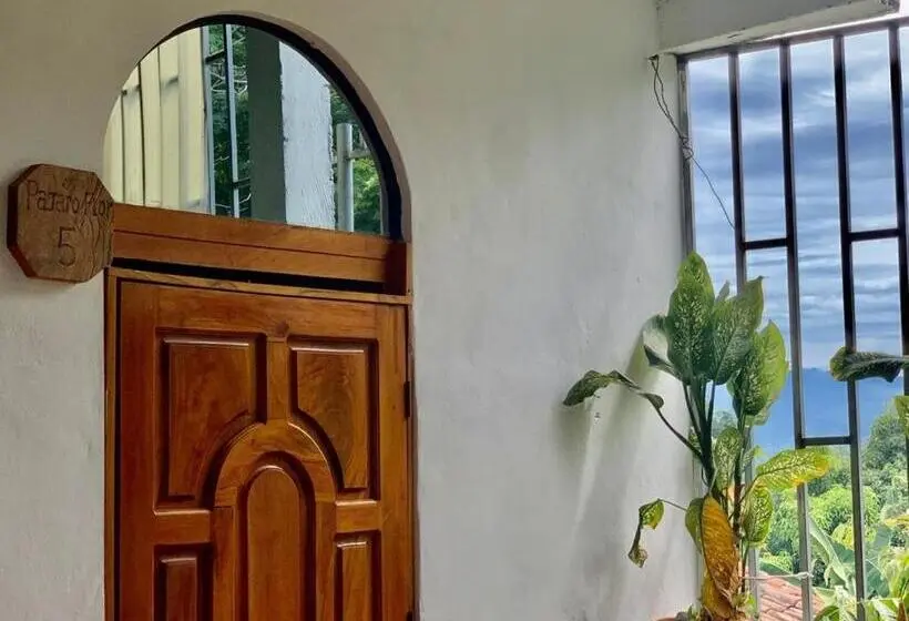スタンダードシングルルーム, Hostal Raices De Mi Pueblo