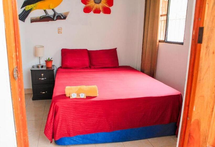 Номер Стандарт Индивидуальный, Hostal Raices De Mi Pueblo