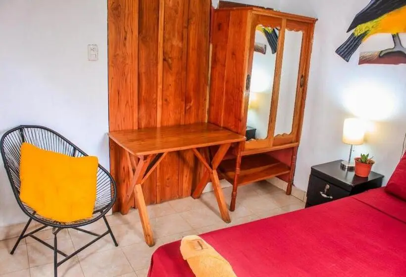 スタンダードシングルルーム, Hostal Raices De Mi Pueblo