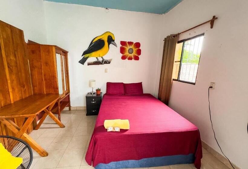 스탠다드 싱글 룸, Hostal Raices De Mi Pueblo
