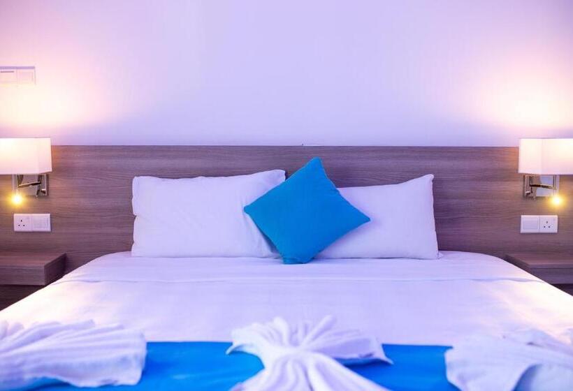 סטודיו אקזקיוטיב, Flora Maria