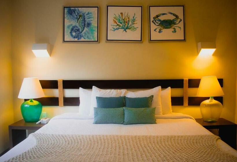 ‫فيلا غرفة نوم واحدة, Villas Grand Marina Kinuh