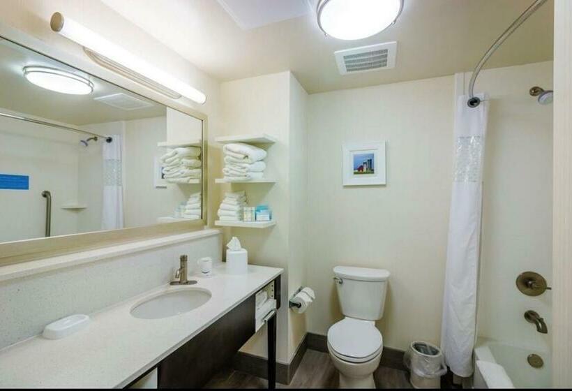 이그제큐티브 룸, Hampton Inn Pulaski