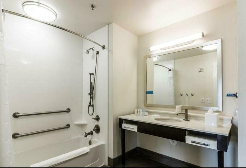 장애인을 위한 킹사이즈 침대 스탠다드 룸, Hampton Inn Pulaski