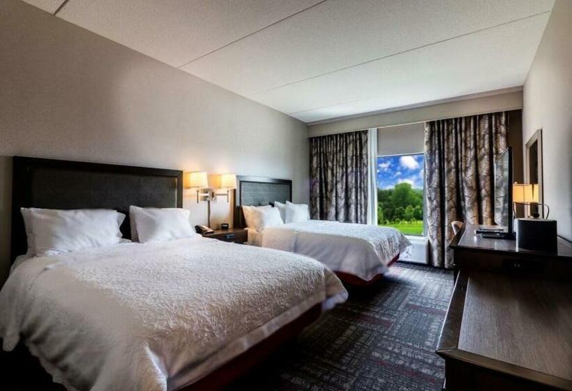 行政房间, Hampton Inn Pulaski