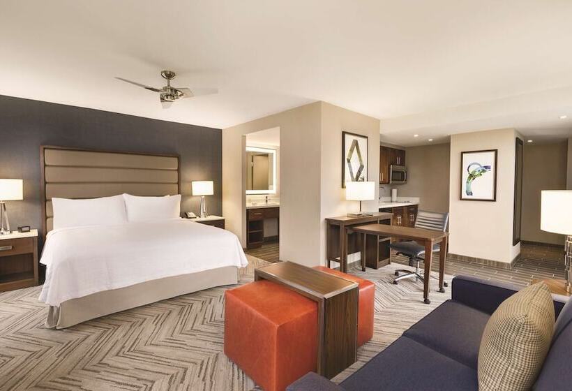 带双人床的标准工作室, Homewood Suites By Hilton Washington Dc Capitolnavy Yard