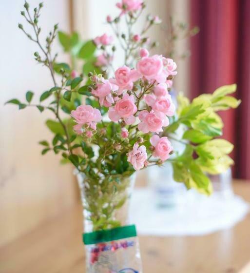 Номер Комфорт, Landgasthof Linde