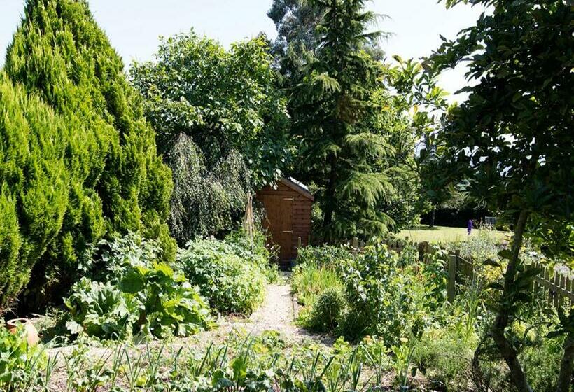 اتاق لوکس با تخت بزرگ, The Graig Bed & Breakfast Ludlow