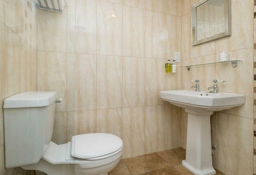 חדר דלוקס, The Graig Bed & Breakfast Ludlow