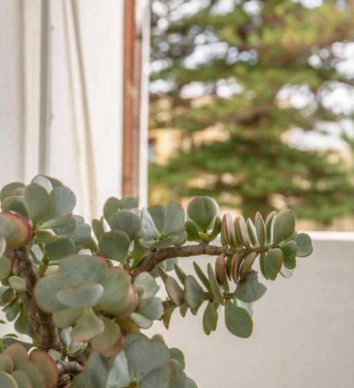 غرفة قياسية, Airlies Guest House