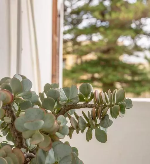スタンダードルーム, Airlies Guest House