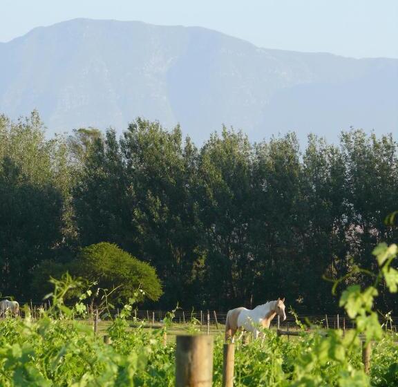 منزل غرفتين نوم, De Doornkraal Vinotel