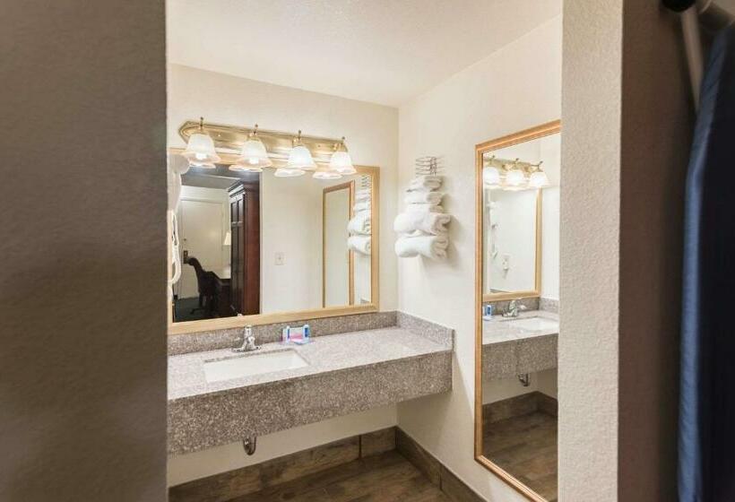 غرفة قياسية سرير كينج, 1st Interstate Inn Montrose