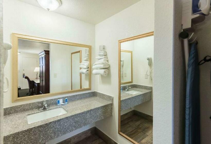 غرفة قياسية سرير كينج, 1st Interstate Inn Montrose